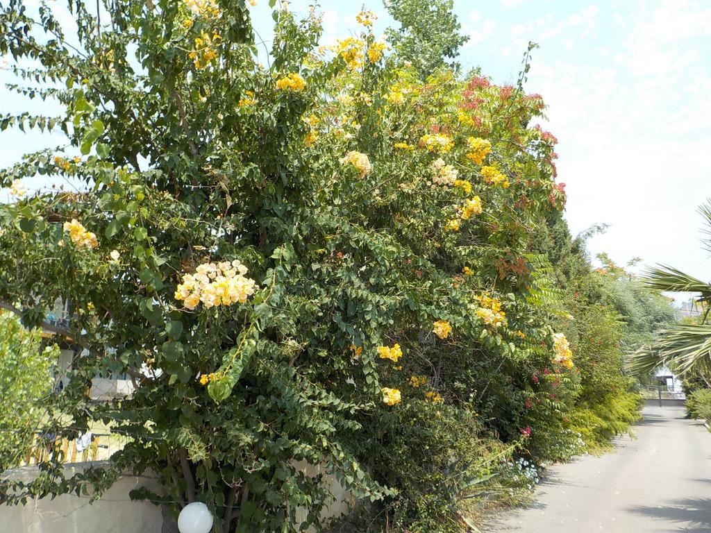 Mandorla Apartments ลาร์ดอส ภายนอก รูปภาพ